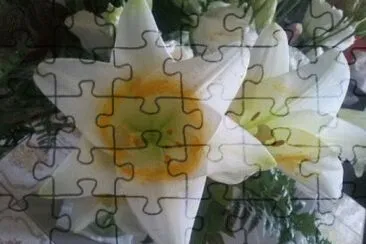 Lilies jigsaw puzzle