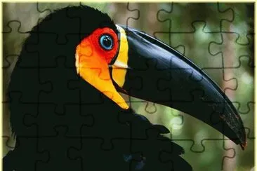 Toucan jigsaw puzzle