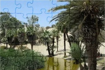 Oasis in the Sahara desert