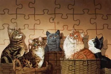 Gatos jigsaw puzzle