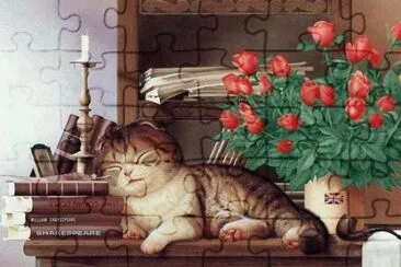 Gatos