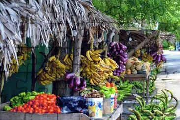 comidas dominicanas jigsaw puzzle