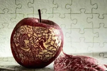 curiositÃ  jigsaw puzzle