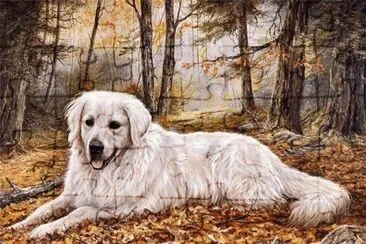 Pintura