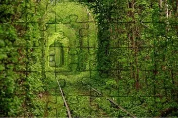 Tunel do Amor - Ucrania jigsaw puzzle