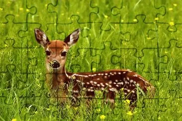 CervatÃ³ jigsaw puzzle