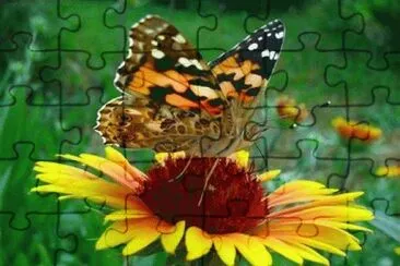 Ã² jigsaw puzzle