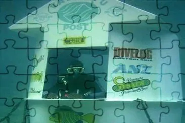 curious jigsaw puzzle