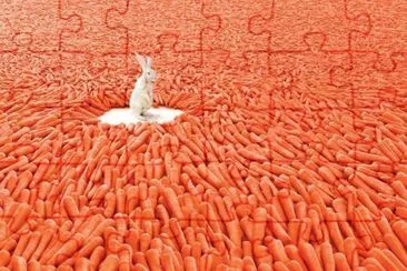 SE VALE SOÃ‘AR... jigsaw puzzle
