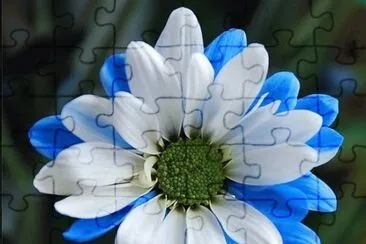 flor jigsaw puzzle