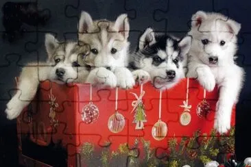 gossets jigsaw puzzle