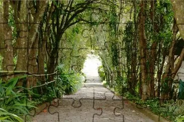 natureza