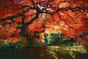 natureza