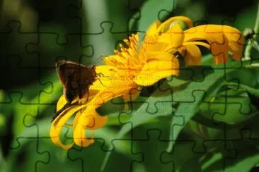natureza