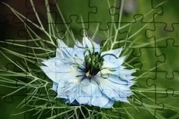 natureza
