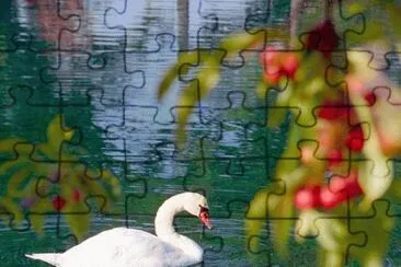 natureza jigsaw puzzle