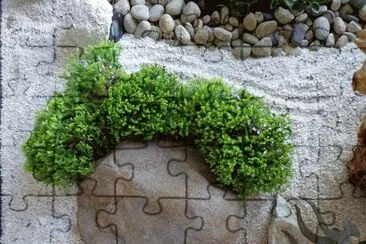 ROCAS