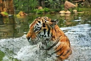 . jigsaw puzzle