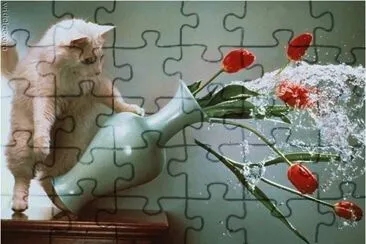 פאזל של Help !!!