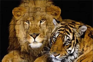 Friends forever jigsaw puzzle