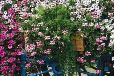 פאזל של wealth of Flowers