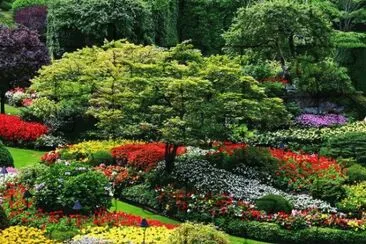 Jardim 2 jigsaw puzzle