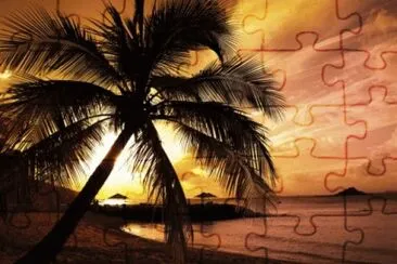 Beach sunset