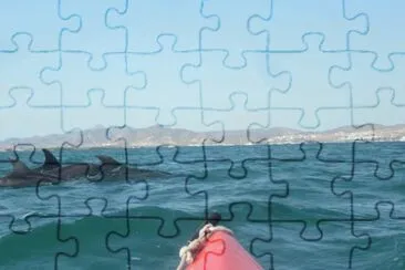 DELFINES Y KAYAK jigsaw puzzle