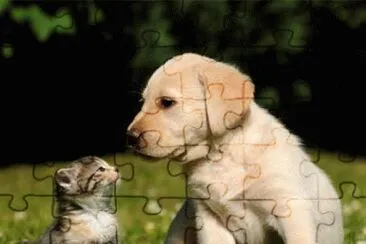 Amiguinhos  na relva jigsaw puzzle