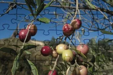 Natura jigsaw puzzle