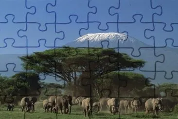 Amboseli Park with the Kilimanjaro  Kenya