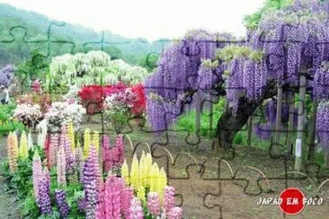 Arvores Coloridas do JapÃ£o jigsaw puzzle