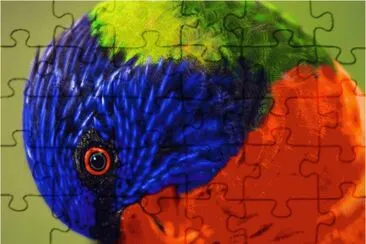 parrot-18 jigsaw puzzle