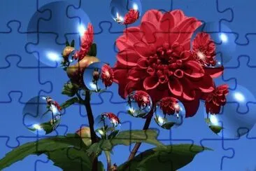Flors jigsaw puzzle