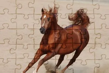 פאזל של Caball