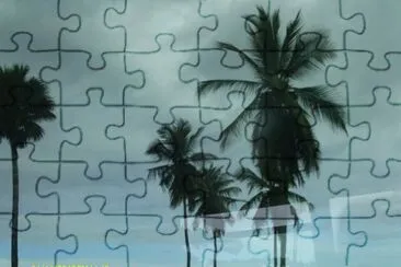 Dominican Trees