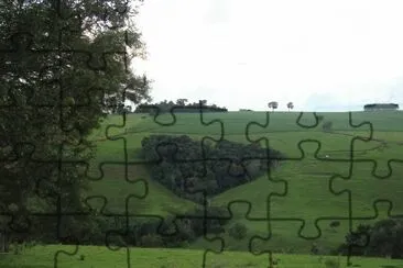  jigsaw puzzle