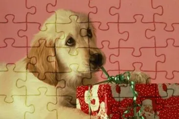 gosset jigsaw puzzle