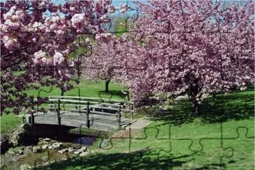 Beautiful Garden