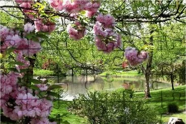 Beautiful Garden