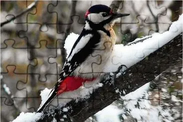 Winter jigsaw puzzle