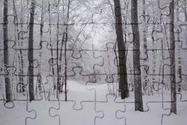 snow jigsaw puzzle