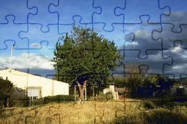 CASA jigsaw puzzle