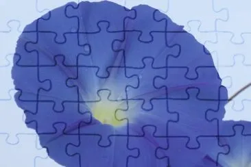 ç‰½ç‰›èŠ± jigsaw puzzle