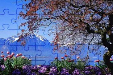 Natureza em sintonia