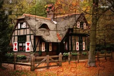 Beautiful House in the Woods jigsaw puzzle