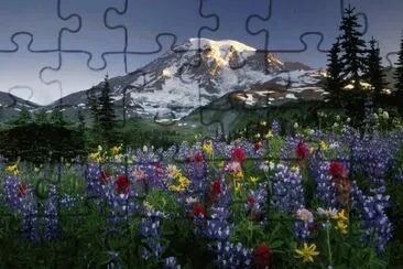 Beautiful landscape