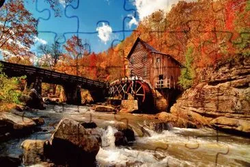 Autumn Forest jigsaw puzzle