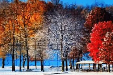image jigsaw puzzle