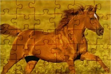 Running Horse